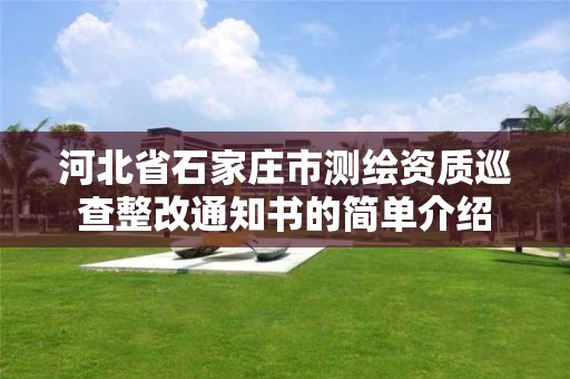 河北省石家庄市测绘资质巡查整改通知书的简单介绍