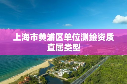 上海市黄浦区单位测绘资质直属类型