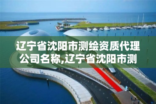 辽宁省沈阳市测绘资质代理公司名称,辽宁省沈阳市测绘资质代理公司名称查询。