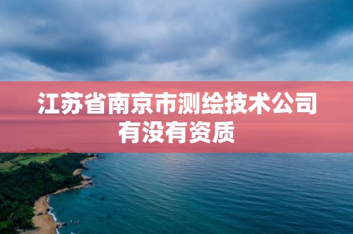 江苏省南京市测绘技术公司有没有资质