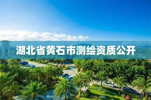 湖北省黄石市测绘资质公开