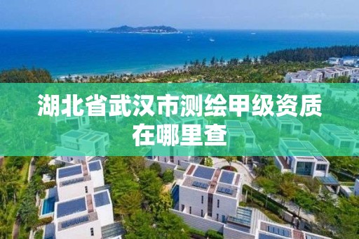 湖北省武汉市测绘甲级资质在哪里查