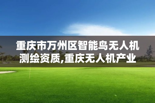 重庆市万州区智能鸟无人机测绘资质,重庆无人机产业协会。