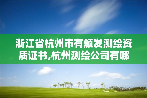 浙江省杭州市有颁发测绘资质证书,杭州测绘公司有哪几家。