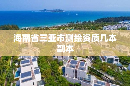 海南省三亚市测绘资质几本副本