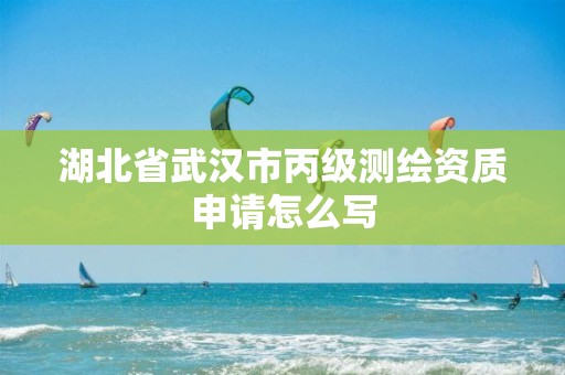 湖北省武汉市丙级测绘资质申请怎么写