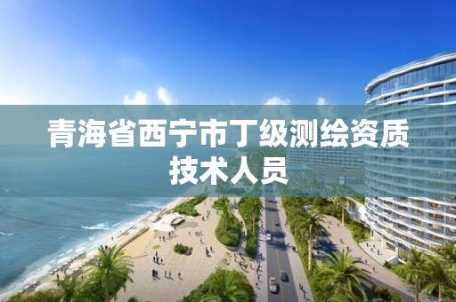 青海省西宁市丁级测绘资质技术人员