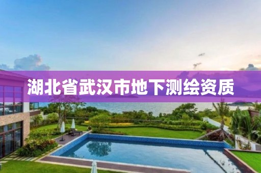 湖北省武汉市地下测绘资质