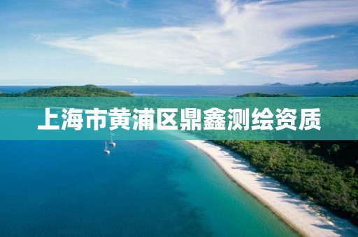 上海市黄浦区鼎鑫测绘资质