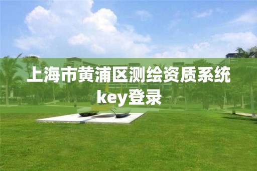 上海市黄浦区测绘资质系统key登录