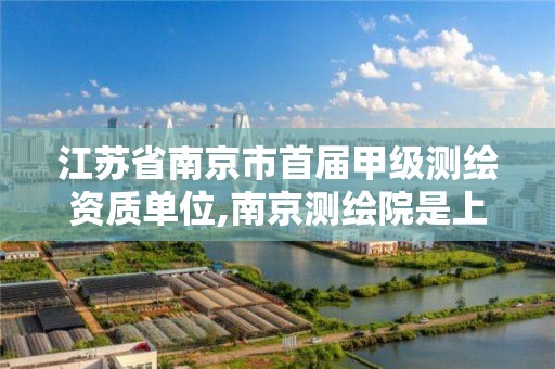 江苏省南京市首届甲级测绘资质单位,南京测绘院是上市公司吗