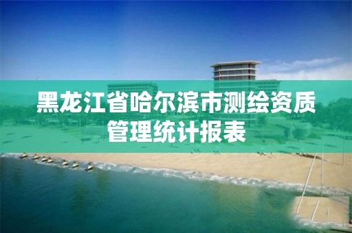 黑龙江省哈尔滨市测绘资质管理统计报表