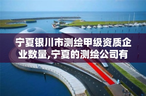 宁夏银川市测绘甲级资质企业数量,宁夏的测绘公司有哪些