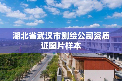 湖北省武汉市测绘公司资质证图片样本