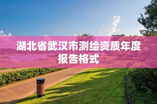 湖北省武汉市测绘资质年度报告格式