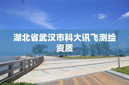 湖北省武汉市科大讯飞测绘资质