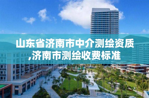 山东省济南市中介测绘资质,济南市测绘收费标准