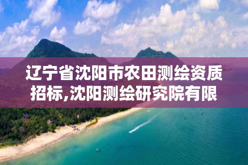 辽宁省沈阳市农田测绘资质招标,沈阳测绘研究院有限公司官网