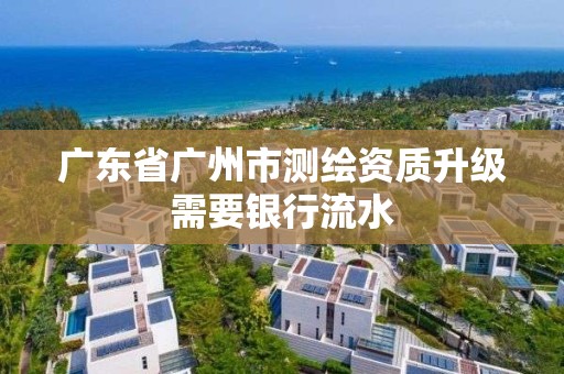 广东省广州市测绘资质升级需要银行流水