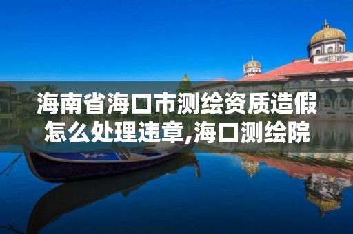 海南省海口市测绘资质造假怎么处理违章,海口测绘院。