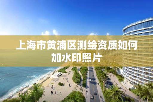 上海市黄浦区测绘资质如何加水印照片