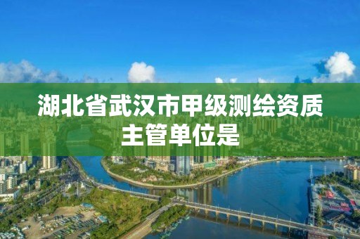 湖北省武汉市甲级测绘资质主管单位是