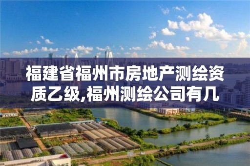 福建省福州市房地产测绘资质乙级,福州测绘公司有几家。