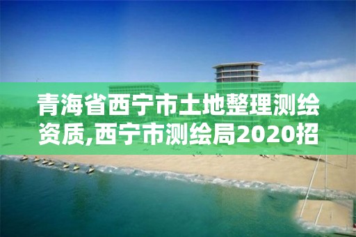 青海省西宁市土地整理测绘资质,西宁市测绘局2020招聘