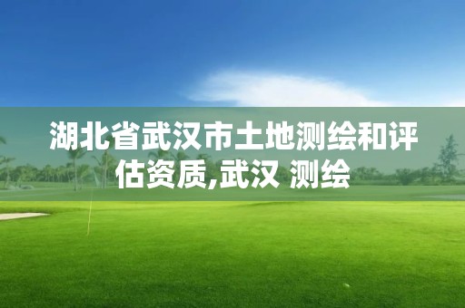 湖北省武汉市土地测绘和评估资质,武汉 测绘