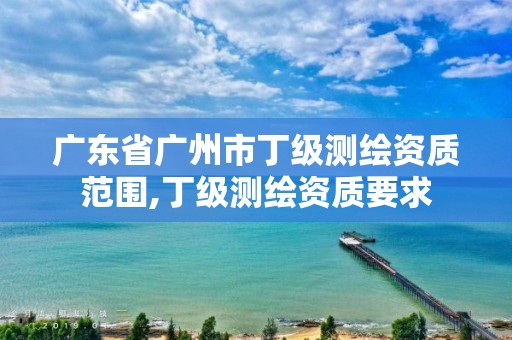 广东省广州市丁级测绘资质范围,丁级测绘资质要求