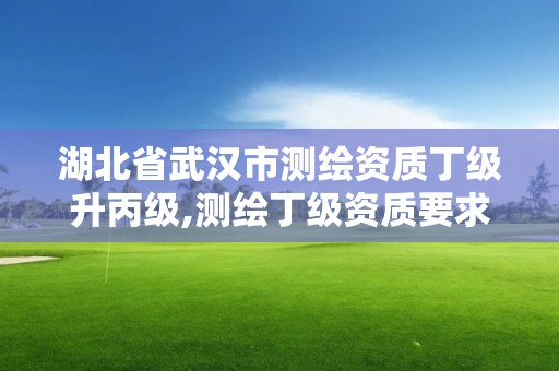 湖北省武汉市测绘资质丁级升丙级,测绘丁级资质要求