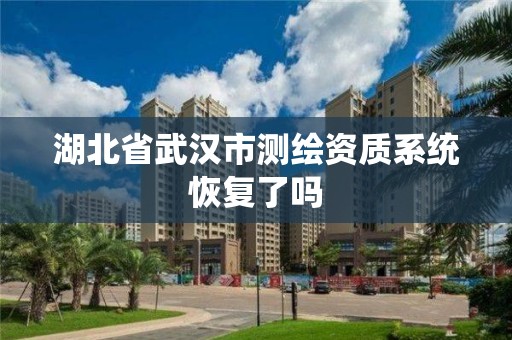 湖北省武汉市测绘资质系统恢复了吗