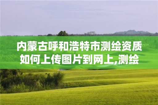 内蒙古呼和浩特市测绘资质如何上传图片到网上,测绘资质申报系统。