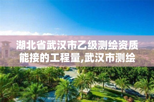 湖北省武汉市乙级测绘资质能接的工程量,武汉市测绘勘察设计甲级资质公司。