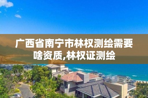 广西省南宁市林权测绘需要啥资质,林权证测绘