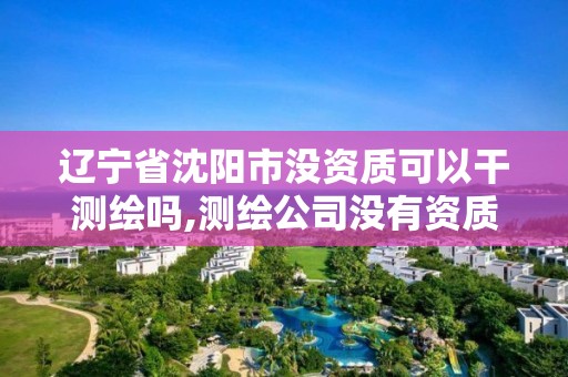 辽宁省沈阳市没资质可以干测绘吗,测绘公司没有资质可以开发票吗