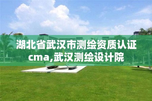 湖北省武汉市测绘资质认证cma,武汉测绘设计院