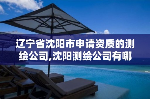 辽宁省沈阳市申请资质的测绘公司,沈阳测绘公司有哪些