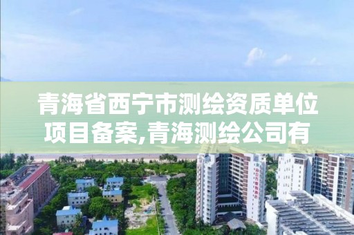 青海省西宁市测绘资质单位项目备案,青海测绘公司有哪些