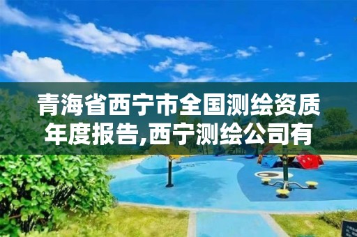 青海省西宁市全国测绘资质年度报告,西宁测绘公司有哪些