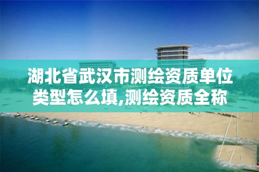 湖北省武汉市测绘资质单位类型怎么填,测绘资质全称