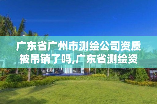 广东省广州市测绘公司资质被吊销了吗,广东省测绘资质单位名单。