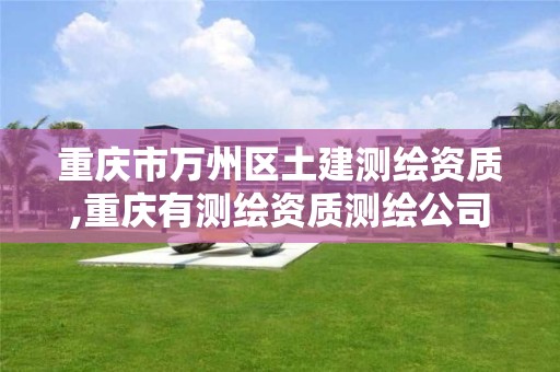 重庆市万州区土建测绘资质,重庆有测绘资质测绘公司大全