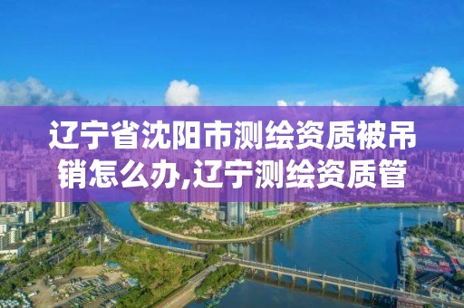 辽宁省沈阳市测绘资质被吊销怎么办,辽宁测绘资质管理系统登录