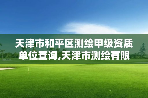 天津市和平区测绘甲级资质单位查询,天津市测绘有限公司