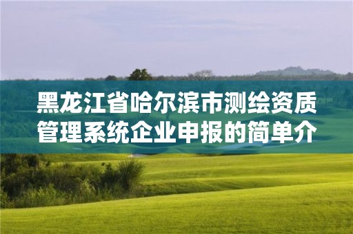 黑龙江省哈尔滨市测绘资质管理系统企业申报的简单介绍