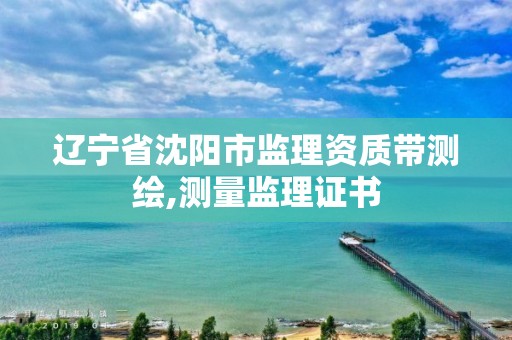 辽宁省沈阳市监理资质带测绘,测量监理证书