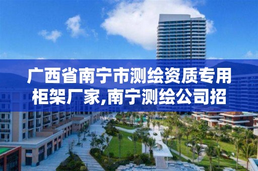 广西省南宁市测绘资质专用柜架厂家,南宁测绘公司招聘信息网