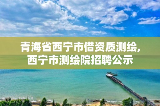 青海省西宁市借资质测绘,西宁市测绘院招聘公示