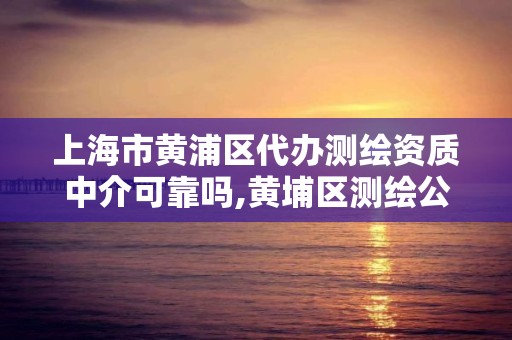 上海市黄浦区代办测绘资质中介可靠吗,黄埔区测绘公司